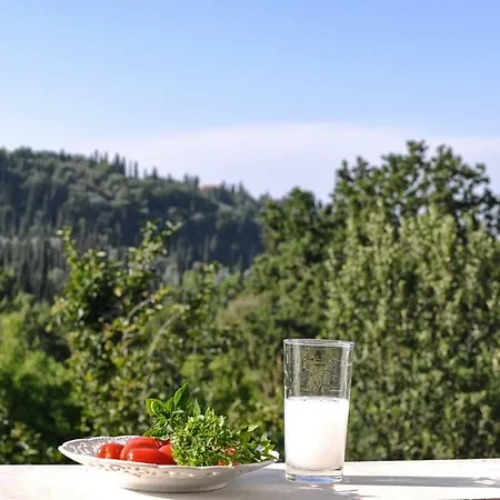 Lotza House * Κυνοπιάστες